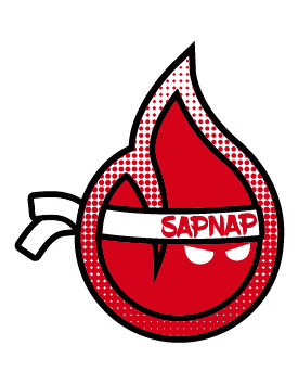 Sapnap Flame Name T-Shirt - TeeHex