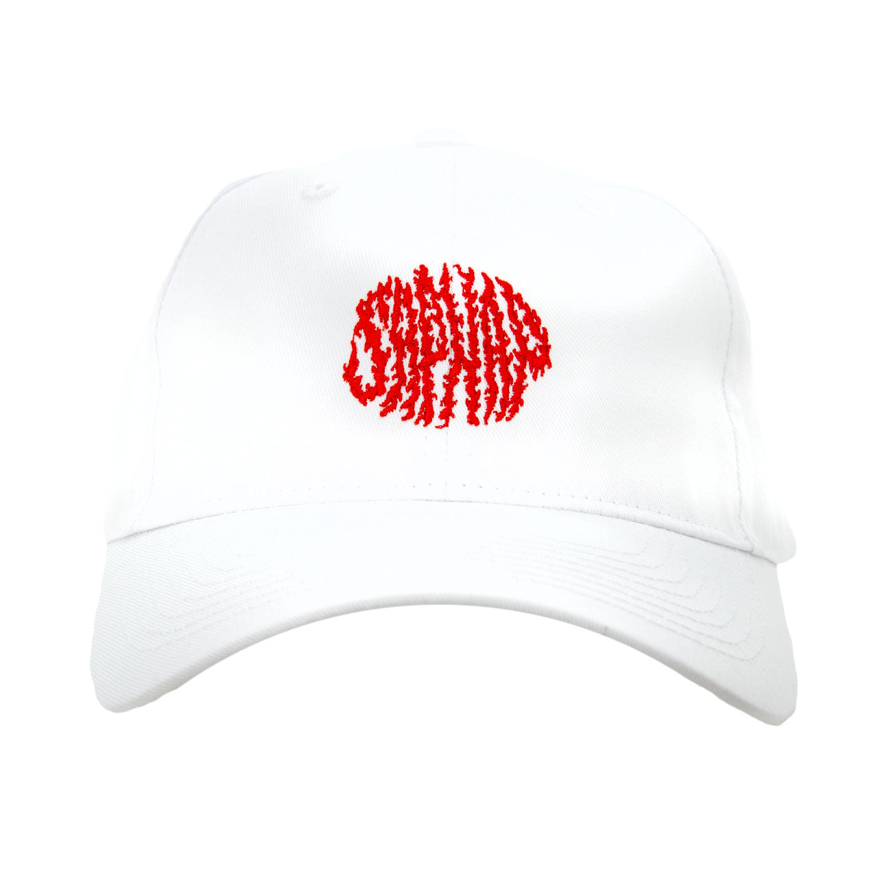 Sapnap Flame Name OSFA Cap
