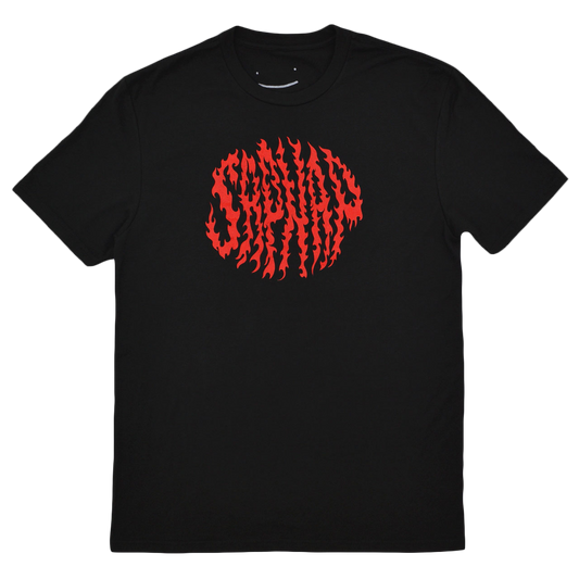 Sapnap Flame Name T-Shirt